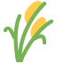 Sheaf of rice :ear_of_rice: 🌾